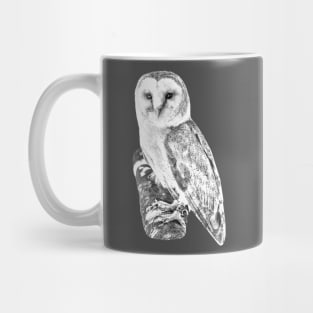 European Barn Owl Mug